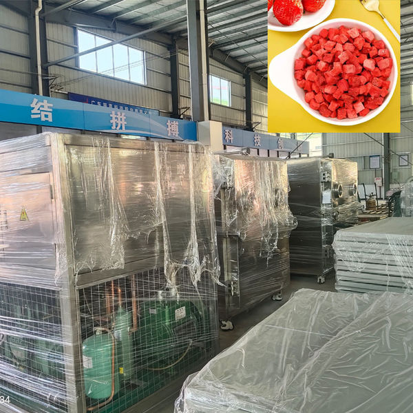 Guangzhou Guxing Freeze  Equipment Co.,Ltd