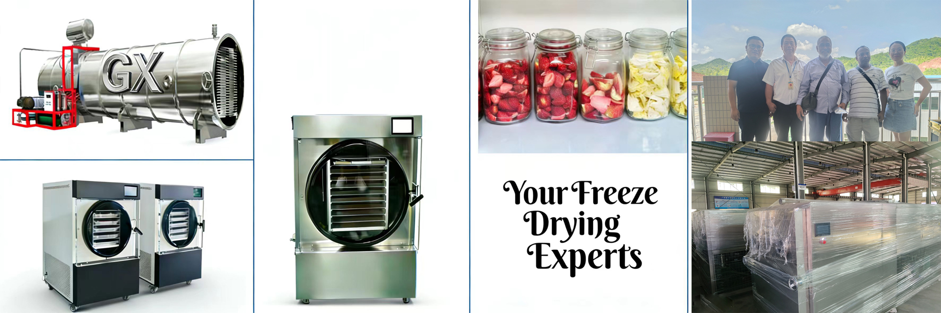 ποιότητας στεγνωτήρας εγχώριου παγώματος εργοστάσιο