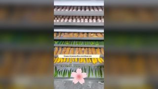 100kg Food Freeze dryer for Business