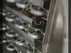 Βιομηχανικό στεγνωτήρα κατά ψύξη με κενό Bosch & 304 ανοξείδωτο κέλυφος - Λυοφιλιωτή βαρέων απαιτήσεων