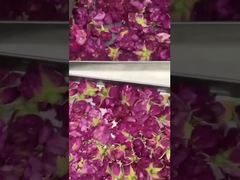 Οικιακή στεγνώστρια κατά ψύξη: Εύκολη στη χρήση, ενεργειακά αποδοτική και ταιριάζει στην κουζίνα σας