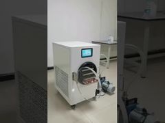 οικιακό παγωτό