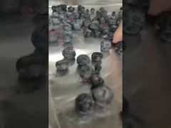 Παρακολουθήστε: Industrial Lyophilizer Precision Drying for High-Value Ingredients Bulk Contract Singe