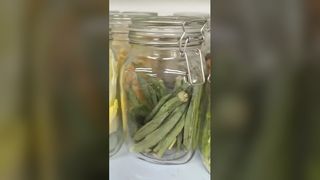 Home Freeze dryer 25 Year Freshness