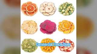 Βιομηχανικό Freeze Dryer 100KG Εμπορική Ζυγαριά