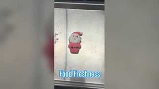 Freeze Dryer Conserve Food