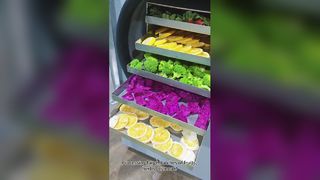 Home Freeze dryer Preserve Food be Good