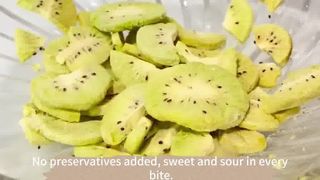 Industrial Freeze Dryer Processing Food Processing Powerhouse