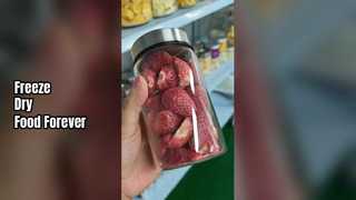 Home Freeze dryer Preserve Food Fresh