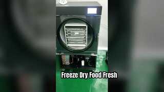 Τρόφιμα Freeze Dryer