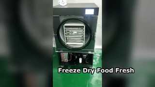 Το Freeze Dryer Conserves Food