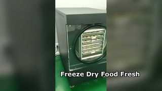 Home Freeze dryer Συντηρήστε τα τρόφιμα χωρίς κόπο