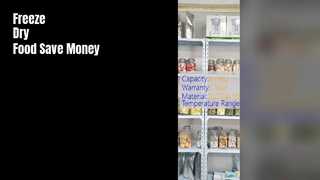 Mini Home Freeze Dryer Food