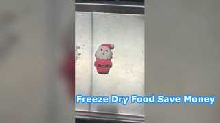 Home Freeze dryer Conserve Food Εξοικονομήστε χρήματα