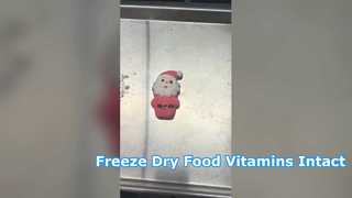 Home Freeze Dryer Conserves Food 95% Vitamins