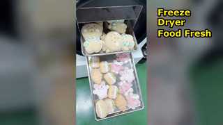 Home Freeze dryer Conserve Food