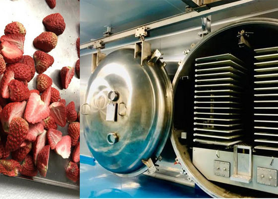Μηχανή στεγνώσεως κατά ψύξη υπό κενό 1000 kg με τηλεχειρισμό PLC