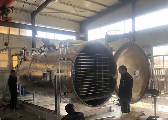 Ατμοσφαιρική ψύξη 50Kg 100Kg Βιομηχανικά λαχανικά Τρόφιμα Vakuum Freeze Dryer