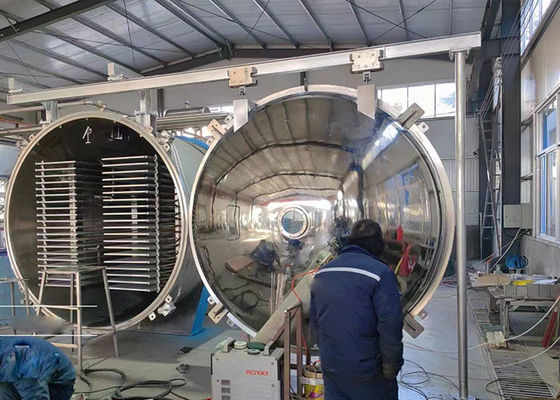 100 kg/παρτίδα Μηχανή αποξηρατήρα κατά ψύξη Τροφίμων Βιομηχανικό κενό