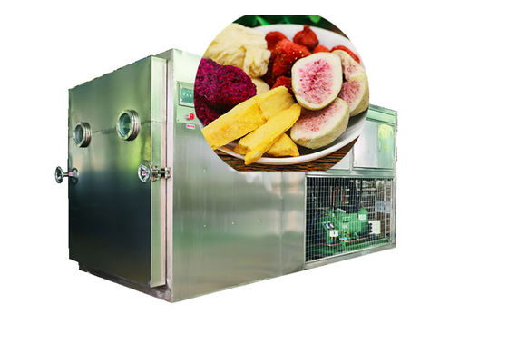 100 κιλά 200 κιλά Ελεγχόμενο από PLC λυοφιλιωτή
