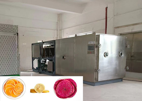 Τρόφιμα Vakuum λαχανικά Freeze στεγνωτήρας Προσαρμόσιμος Μεγάλος