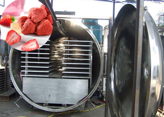 300Kg Vakuum Atla Βιομηχανικό Τροφίμων λαχανικών στεγνό ψυγείο Μηχανή
