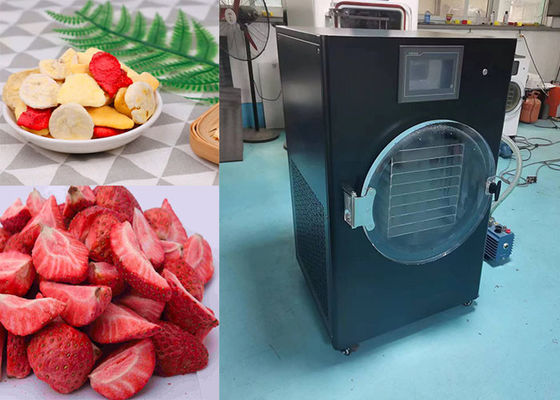 4Kg 6Kg 10Kg Σύνθετο PLC ελεγχόμενο μίνι ψυκτικό στεγνωτήριο
