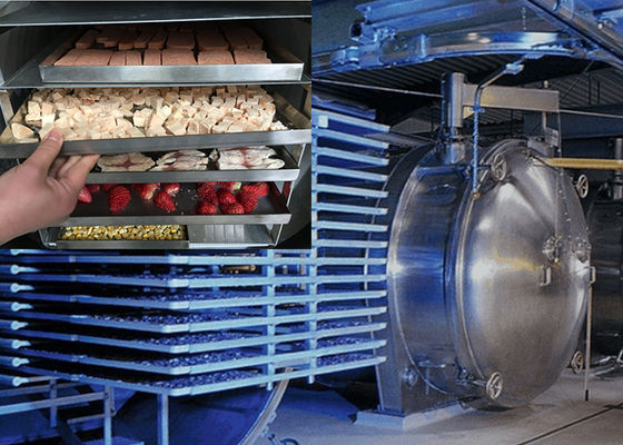 Βιομηχανικό Τροφίμων Ατμοσφαιρικό Freeze Dryer Ενεργειακή εξοικονόμηση Lyophilizer