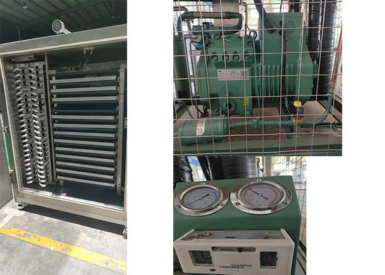 Φαρμακευτικό λυοφιλεστήριος ψυκτικό στεγνωτήρα ηλεκτρική θέρμανση κενό