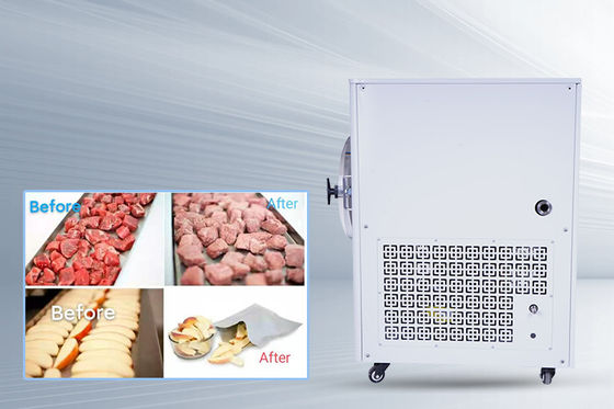 -50C- 50C Tempe Μίνι στεγνωτήρας κατά ψύξη 10kg/παρτίδα