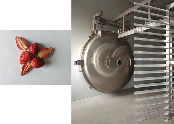 Τεχνικός στεγνωτήρας κατάψυξης 1000kg