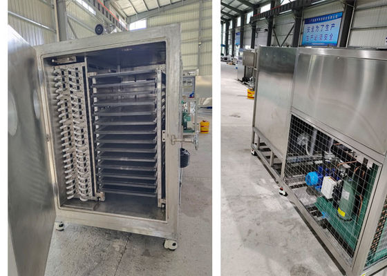 50kg 100Kg 200Kg χωρητικότητα Lyophilizer Freeze Dryer Vacuum Machine