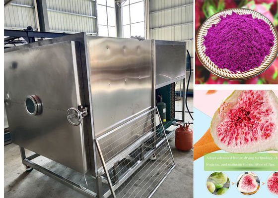 100kg / παρτίδα Stayfresh Freeze Dryer με σύστημα ψύξης με αέρα