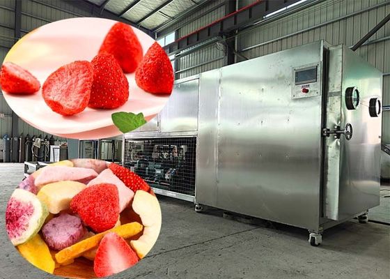 100 kg/παρτίδα Μηχανή στεγνώσεως με ψύξη Λυοφιλιωτή με έλεγχο PLC