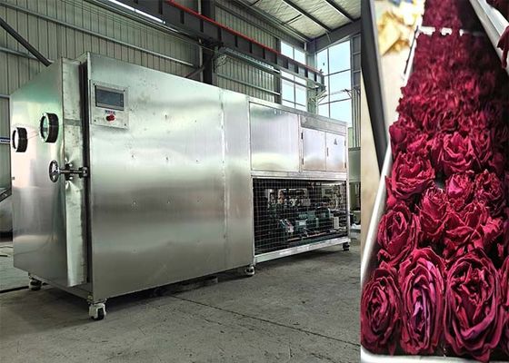 200 κιλά 500 κιλά Μεγάλη χωρητικότητα Lyophilizer Freeze Dryer Machine
