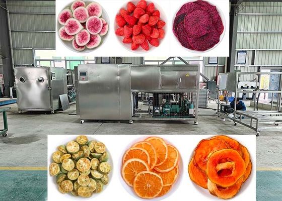 OEM / ODM Τροφίμων Vacuum Freeze Dryer εμπειρία ασύγκριτη απόδοση Freeze Drying