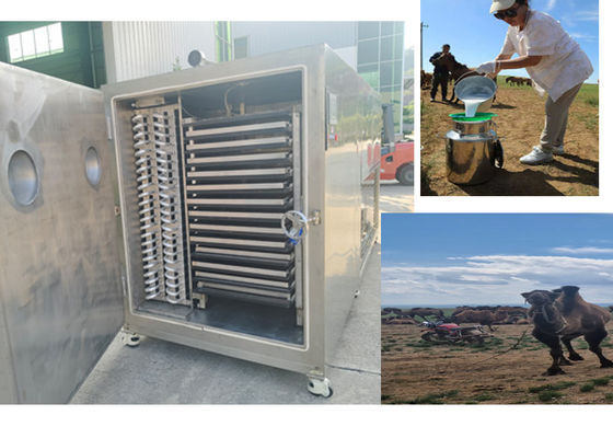 Σύνθετο σχεδιασμό Μηχανή κατάψυξης ξηρών φρούτων με σύστημα ψύξης