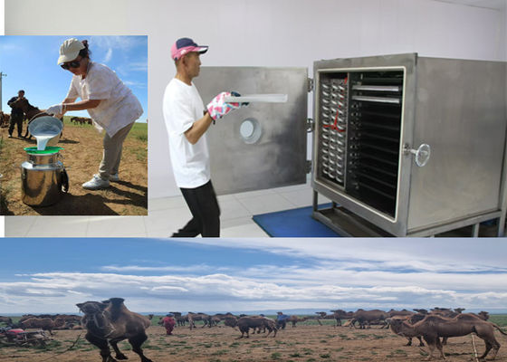 Μηχανή κατάψυξης ξηρών φρούτων  ή Leybold