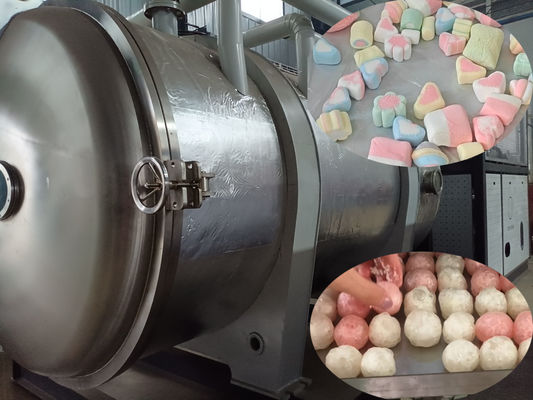 500kg Βιομηχανικό ψυγείο αποξηρατήρα τροφίμων Μεγάλης κλίμακας λυοφιλεστή για την επεξεργασία τροφίμων