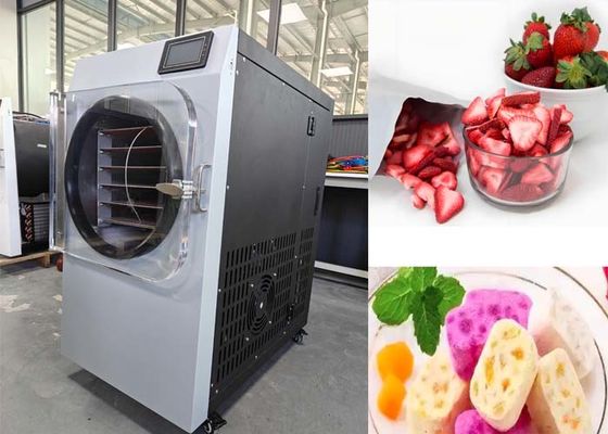 Συστήματα κενού Bitzer Μικρό οικιακό στεγνωτήριο ψύξης για τη φαρμακευτική βιομηχανία