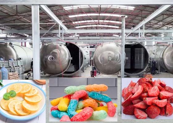 Φαρμακευτικό 1000Kg Vakuum Freeze Dryer Machine Προηγμένη τεχνολογία ξήρανσης