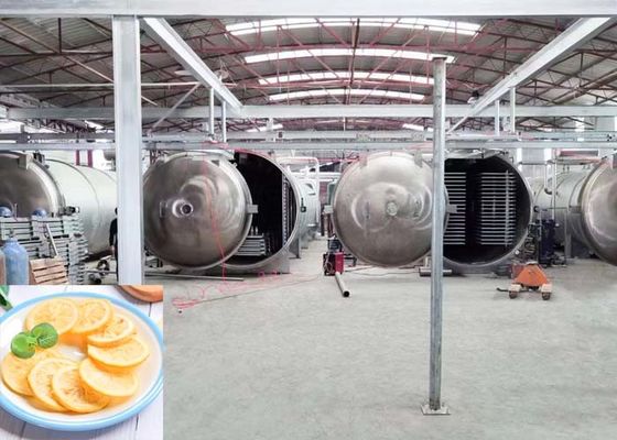 Μεγάλη βιομηχανική στεγνωτήρα κατάψυξης 1000 kg/παρτίδα