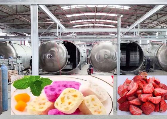 Μεγάλο στεγνωτήρα κατάψυξης 1000Kg για ταχεία αποτελέσματα στεγνώσεως 20-24H