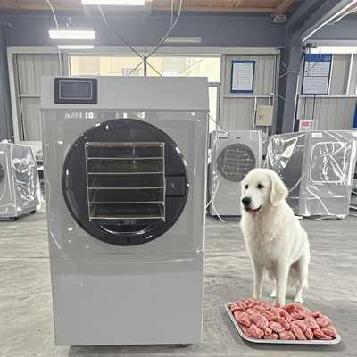 Τροφική ποιότητα 6kg Σωματιστική στεγνωτήρας Εμπορικός εξοπλισμός αφυδάτωσης για φρούτα και λαχανικά