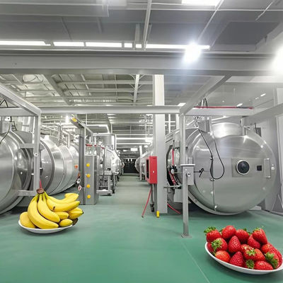 Εργατικό στεγνωτήρα ψύξης 500kg για φρούτα / λαχανικά / καφέ / θαλασσινά