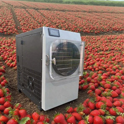 Εμπορικός λυοφιλιωτής με αντλία από ανοξείδωτο χάλυβα 304 και Bosch