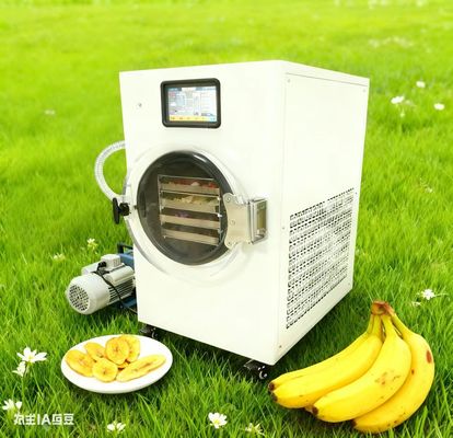 Εύκολο οικιακό στεγνωτήρα κατάψυξης Διατηρήστε τη συγκομιδή του κήπου σας Εύκολη χρήση, ιδανική για κηπουρούς