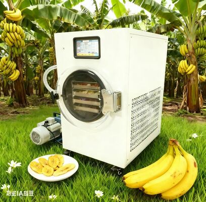 Υγιεινά σνακ που γίνονται εύκολα. Φρούτα, γιαούρτι και άλλα με δικαίωμα συγκομιδής.