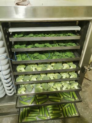 Ηλεκτρική θέρμανση Βιομηχανικό στεγνωτήρα κατάψυξης Θάλαμος προσφοράς Μέγεθος 12700x2600x3300mm και χρόνος στεγνώσεως 20 έως 24 ώρες Ιδανικό για βιομηχανικά