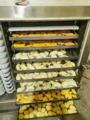 Ψυκτική μονάδα BITZER για λυοφιλοποίηση Ονομαστική ισχύς 200KW Εξοπλισμός λυοφιλίωσης για τη φαρμακευτική, τη βιομηχανία τροφίμων και χημικών